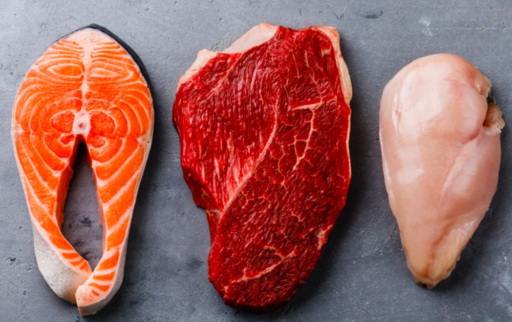 Diferentes tipos de carne: Salmão, Gado e Frango